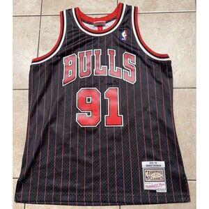 Dennis Rodman Chicago Bulls Jersey Men L Hardwood Classics Mitchell & Ness 95-96